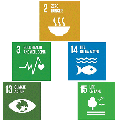 Figure 1: Food-related UN SDGs